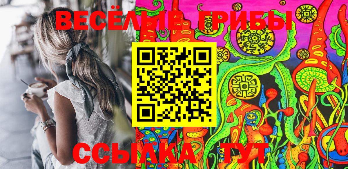 Галлюциногенные грибы Psilocybine cubensis  Вход с VPN  Шарыпово 